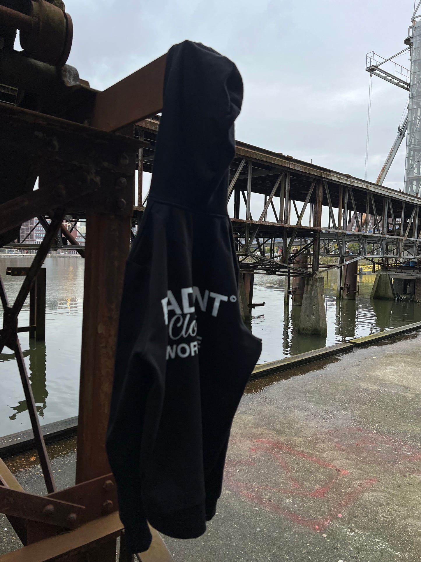 Radiant Hoodie Zwart