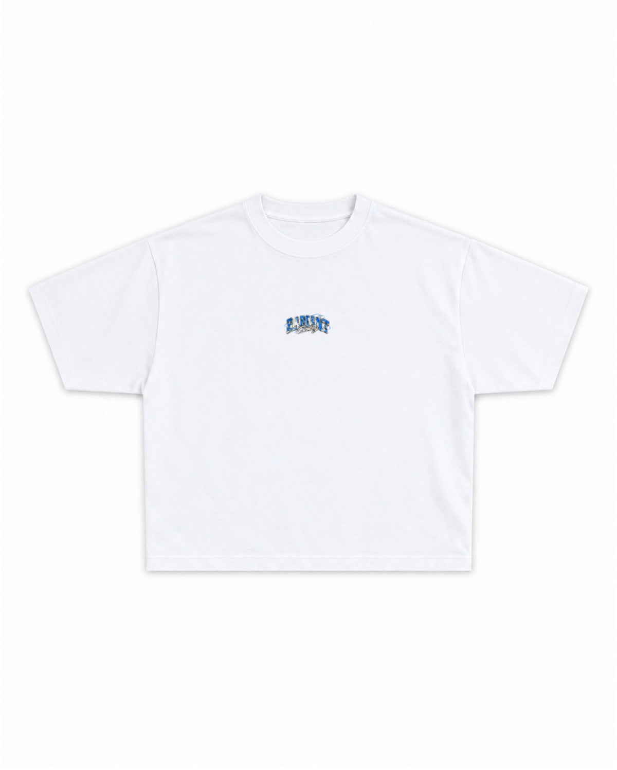 Varsity Faded T-Shirt
